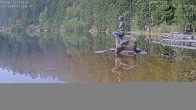 Archiv Foto Webcam Ufer Mummelsee 07:00