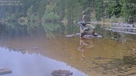 Archived image Webcam Lake Mummelsee - Black Forest 09:00