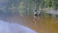 Archiv Foto Webcam Ufer Mummelsee 09:00