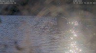 Archiv Foto Webcam Ufer Mummelsee 15:00