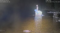Archived image Webcam Lake Mummelsee - Black Forest 23:00