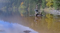 Archived image Webcam Lake Mummelsee - Black Forest 09:00