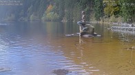 Archived image Webcam Lake Mummelsee - Black Forest 11:00