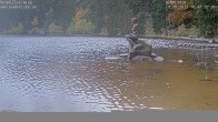 Archived image Webcam Lake Mummelsee - Black Forest 15:00