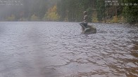 Archiv Foto Webcam Ufer Mummelsee 11:00