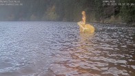 Archiv Foto Webcam Ufer Mummelsee 17:00