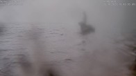 Archived image Webcam Lake Mummelsee - Black Forest 15:00