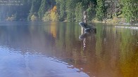 Archiv Foto Webcam Ufer Mummelsee 09:00