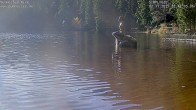 Archiv Foto Webcam Ufer Mummelsee 11:00