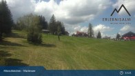 Archiv Foto Webcam Mönichkirchner Schwaig, Mönichkirchen 12:00