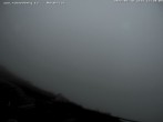 Archiv Foto Webcam Fischerhütte - Puchberg am Schneeberg 11:00