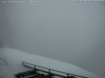 Archiv Foto Webcam Fischerhütte - Puchberg am Schneeberg 09:00
