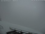 Archiv Foto Webcam Fischerhütte - Puchberg am Schneeberg 15:00