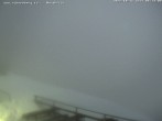 Archiv Foto Webcam Fischerhütte - Puchberg am Schneeberg 05:00