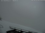 Archiv Foto Webcam Fischerhütte - Puchberg am Schneeberg 09:00