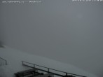 Archiv Foto Webcam Fischerhütte - Puchberg am Schneeberg 11:00