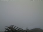 Archiv Foto Webcam Fischerhütte (Süd) 11:00