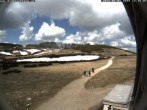 Archiv Foto Webcam Berghütte Damböckhaus 11:00