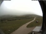 Archiv Foto Webcam Berghütte Damböckhaus 11:00