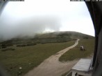 Archiv Foto Webcam Berghütte Damböckhaus 11:00