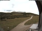 Archiv Foto Webcam Berghütte Damböckhaus 17:00