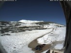 Archiv Foto Webcam Berghütte Damböckhaus 11:00