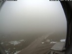 Archiv Foto Webcam Berghütte Damböckhaus 11:00