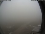 Archiv Foto Webcam Berghütte Damböckhaus 15:00