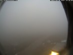 Archiv Foto Webcam Berghütte Damböckhaus 17:00
