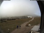 Archiv Foto Webcam Berghütte Damböckhaus 11:00
