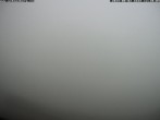 Archiv Foto Webcam Talblick Berghaus Hochschneeberg 11:00