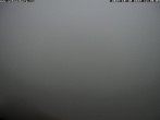 Archiv Foto Webcam Talblick Berghaus Hochschneeberg 11:00