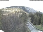 Archiv Foto Webcam Station Baumgartner Puchberg am Schneeberg 11:00