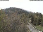 Archiv Foto Webcam Station Baumgartner Puchberg am Schneeberg 13:00