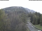 Archiv Foto Webcam Station Baumgartner Puchberg am Schneeberg 17:00