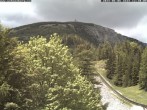 Archiv Foto Webcam Station Baumgartner Puchberg am Schneeberg 11:00