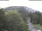 Archiv Foto Webcam Station Baumgartner Puchberg am Schneeberg 13:00