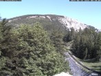 Archiv Foto Webcam Station Baumgartner Puchberg am Schneeberg 07:00