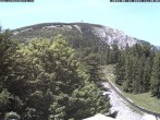 Archiv Foto Webcam Station Baumgartner Puchberg am Schneeberg 11:00