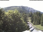 Archiv Foto Webcam Station Baumgartner Puchberg am Schneeberg 13:00