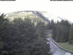 Archiv Foto Webcam Station Baumgartner Puchberg am Schneeberg 11:00