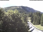 Archiv Foto Webcam Station Baumgartner Puchberg am Schneeberg 13:00