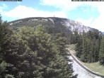 Archiv Foto Webcam Station Baumgartner Puchberg am Schneeberg 11:00