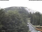 Archived image Webcam Baumgartner Station Puchberg am Schneeberg 11:00