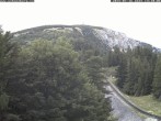 Archived image Webcam Baumgartner Station Puchberg am Schneeberg 13:00