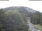 Archived image Webcam Baumgartner Station Puchberg am Schneeberg 15:00