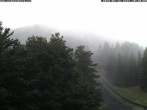 Archived image Webcam Baumgartner Station Puchberg am Schneeberg 19:00