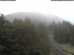 Archiv Foto Webcam Station Baumgartner Puchberg am Schneeberg 07:00