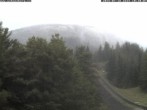 Archiv Foto Webcam Station Baumgartner Puchberg am Schneeberg 09:00