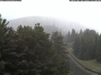 Archiv Foto Webcam Station Baumgartner Puchberg am Schneeberg 11:00